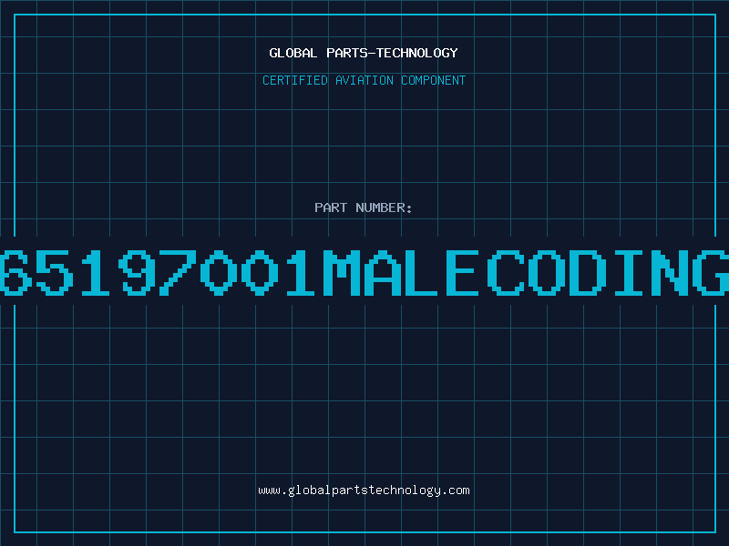 Aviation Part 65197001MALECODING