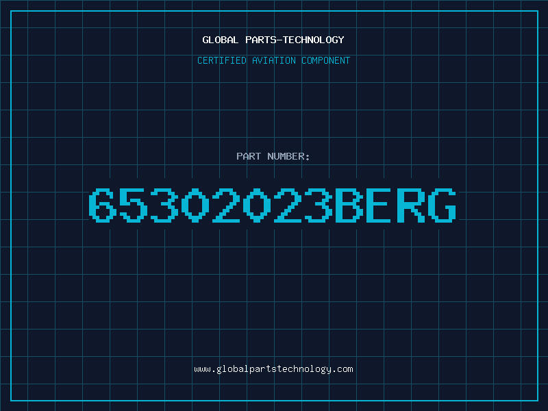 Aviation Part 65302023Berg