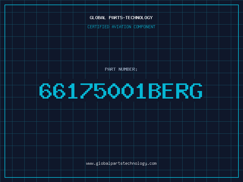Aviation Part 66175001BERG