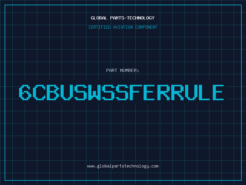 Aviation Part 6CBUSWSSFERRULE