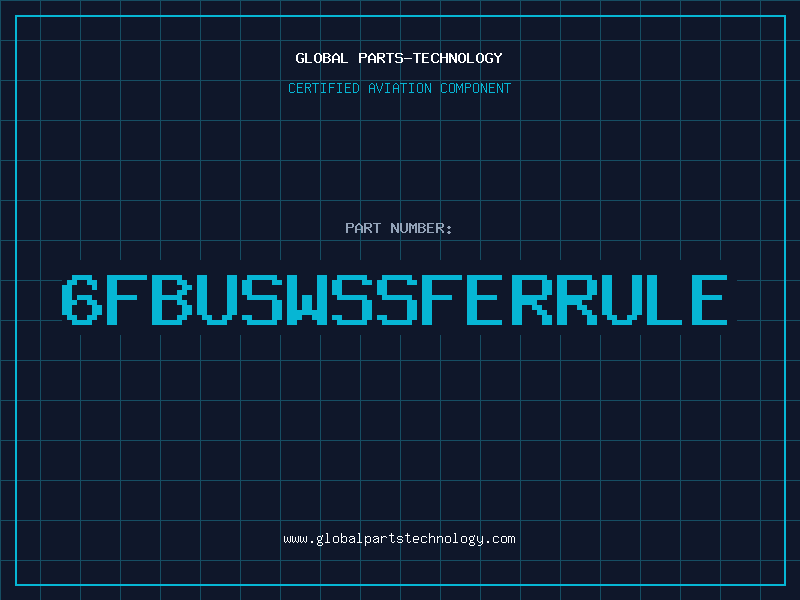 Aviation Part 6FBUSWSSFERRULE