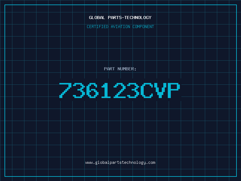 Aviation Part 736123CVP