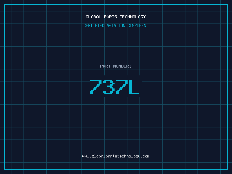 Aviation Part 737L