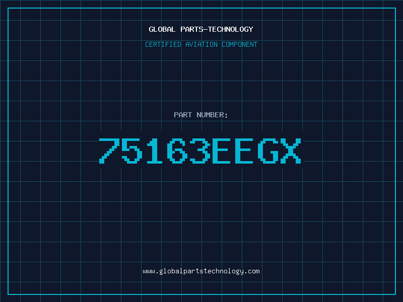 Aviation Part 75163EEGX