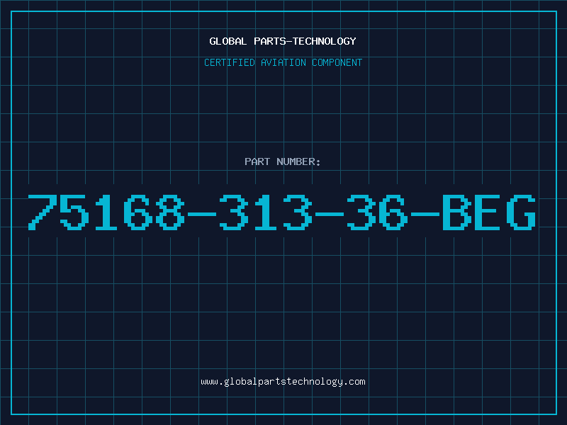 Aviation Part 75168-313-36-BEG