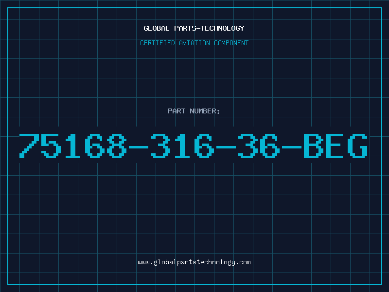 Aviation Part 75168-316-36-BEG