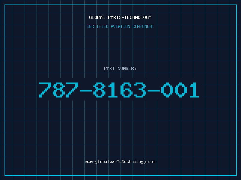 Aviation Part 787-8163-001