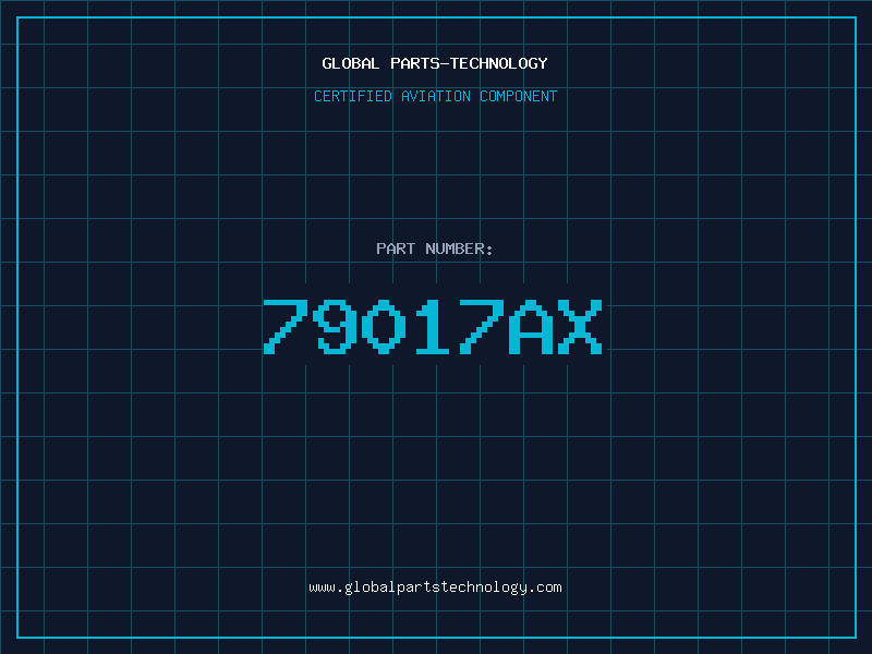 Aviation Part 79017AX