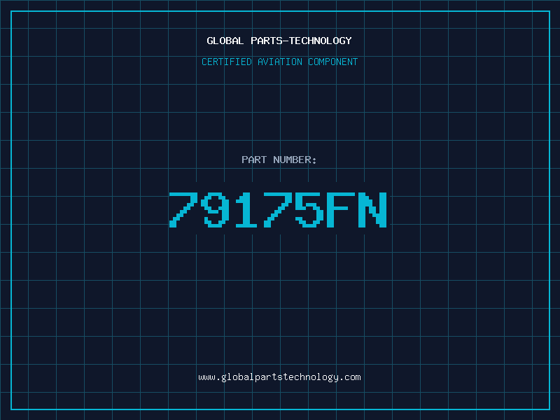Aviation Part 79175FN
