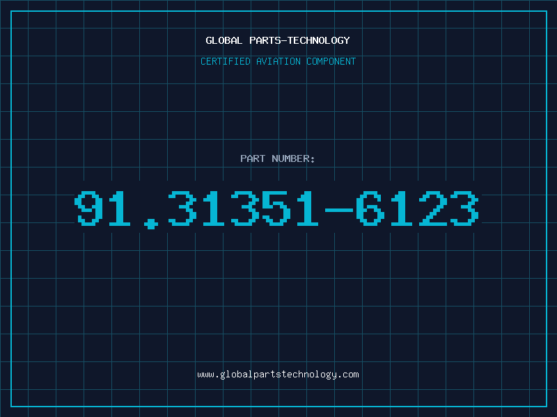 Aviation Part 91.31351-6123