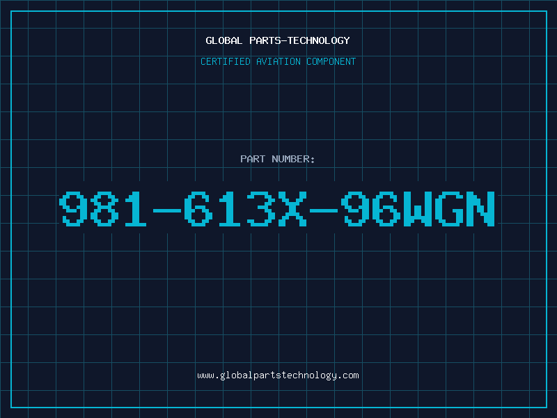Aviation Part 981-613X-96WGN