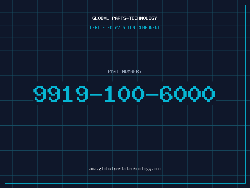 Aviation Part 9919-100-6000