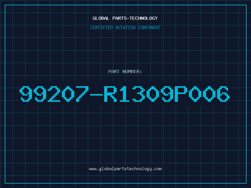 Aviation Part 99207-R1309P006