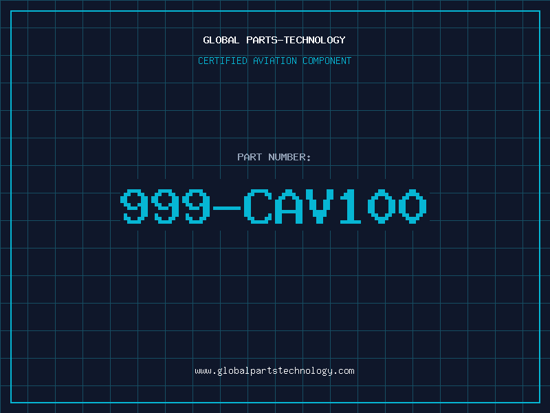 Aviation Part 999-CAV100