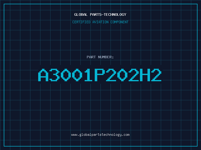 Aviation Part A3001P202H2