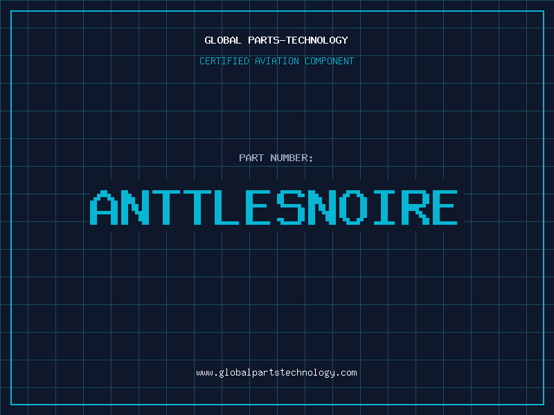 Aviation Part ANTTLESNOIRE