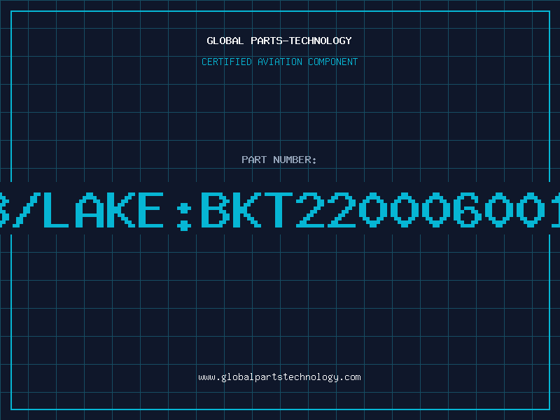 Aviation Part B/LAKE:BKT220006001