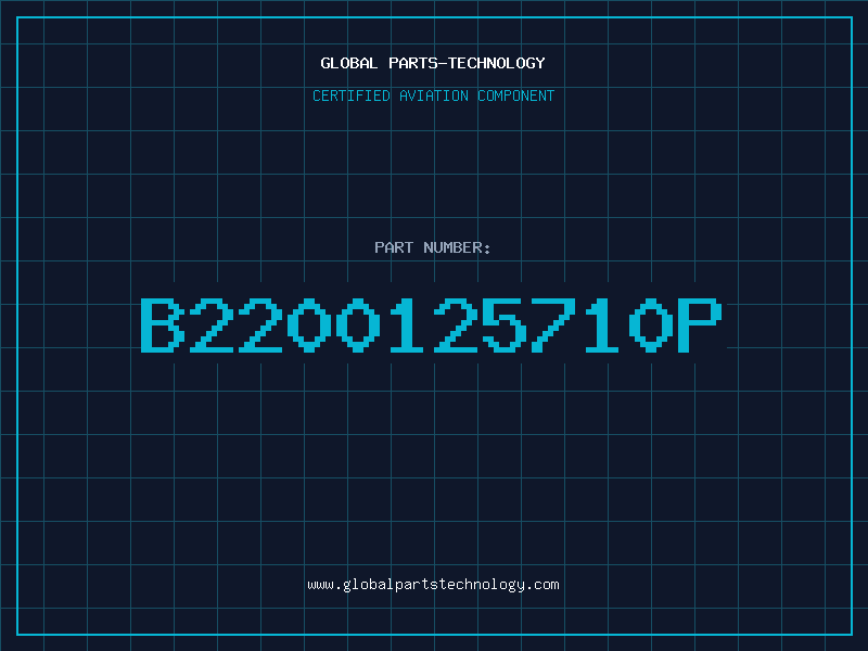Aviation Part B2200125710P