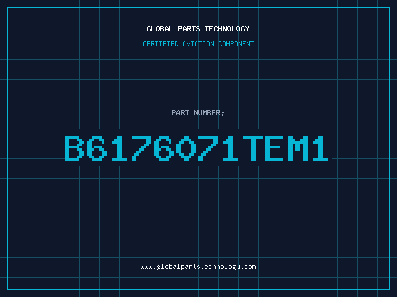 Aviation Part B6176071TEM1