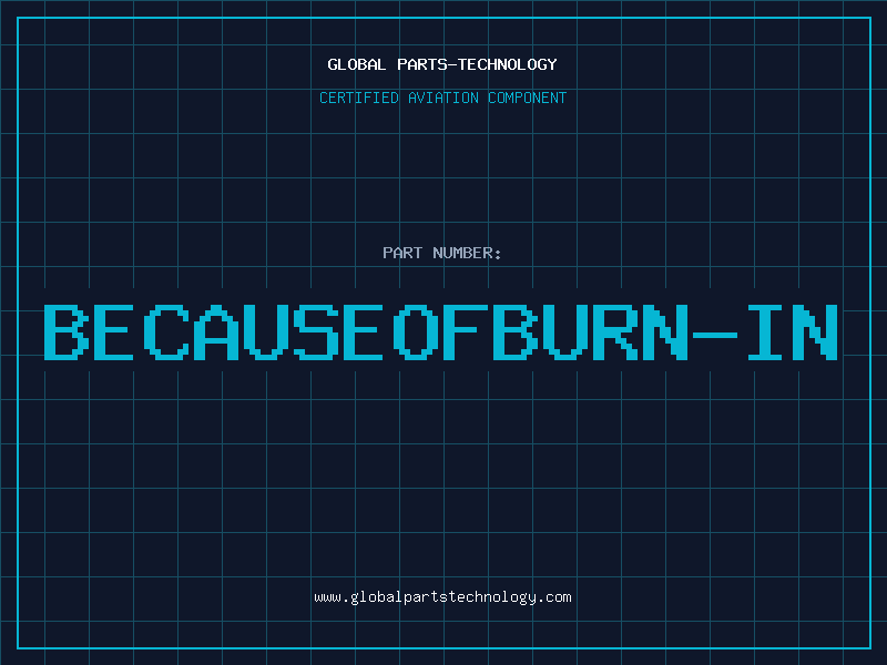 Aviation Part BECAUSEOFBURN-IN