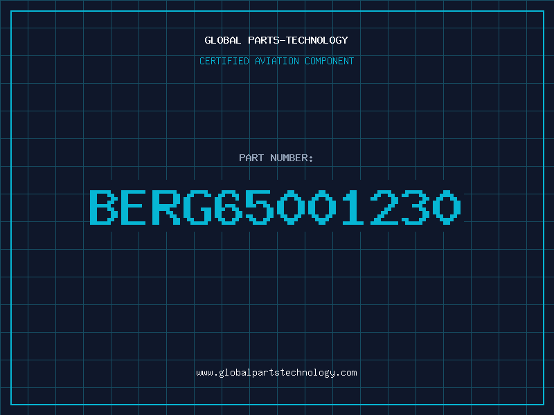 Aviation Part BERG65001230