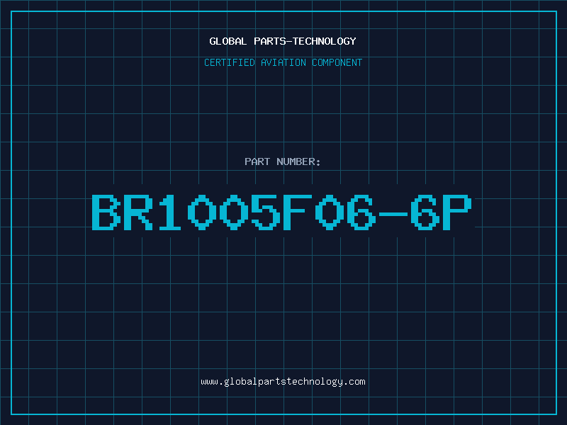Aviation Part BR1005F06-6P