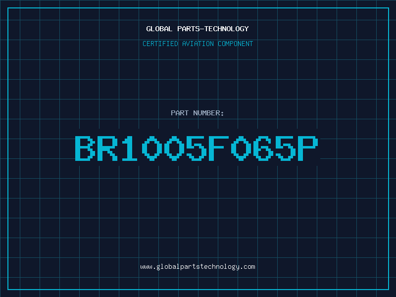 Aviation Part BR1005F065P