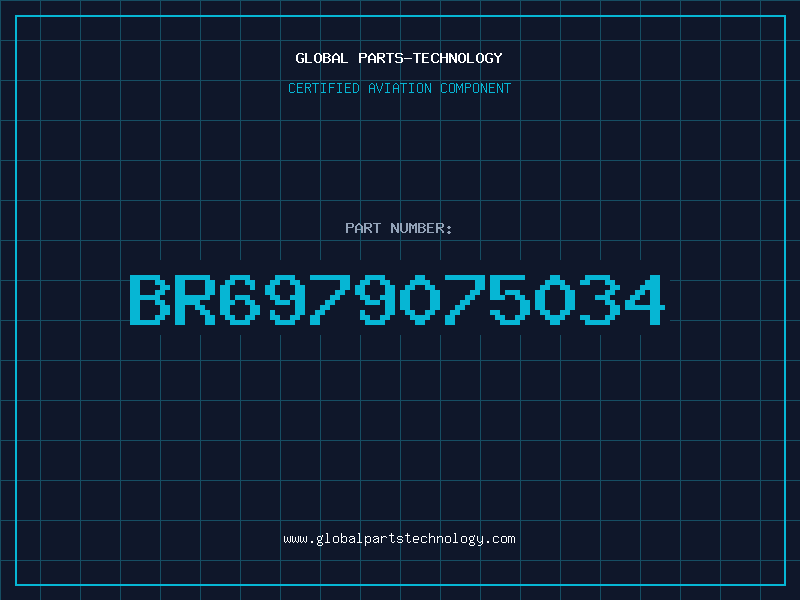 Aviation Part BR6979075034