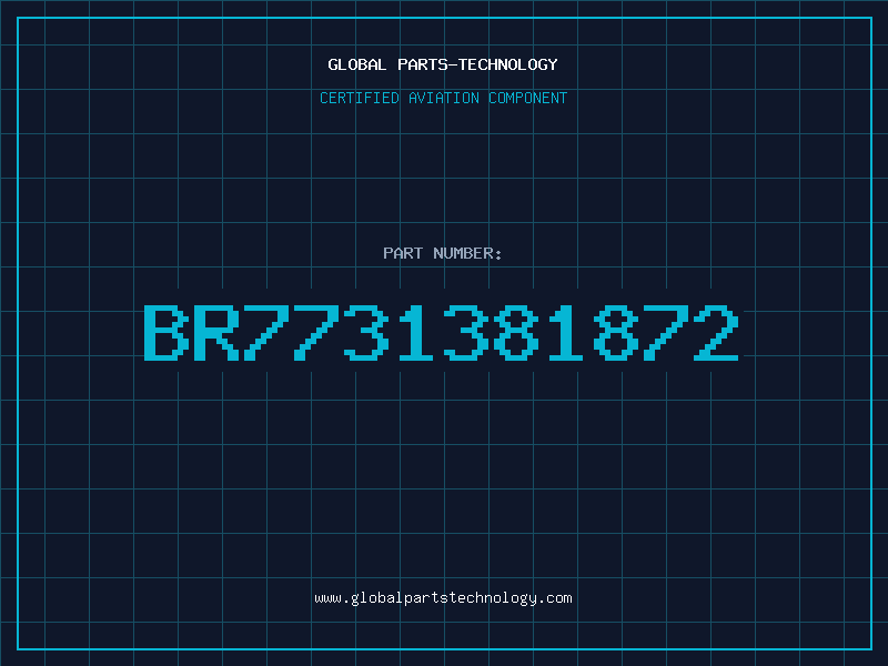 Aviation Part BR7731381872