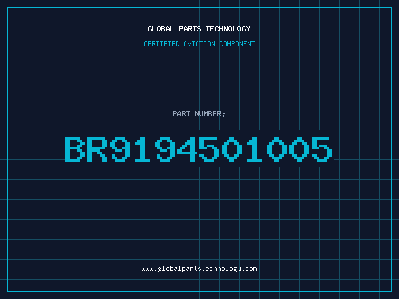 Aviation Part BR9194501005