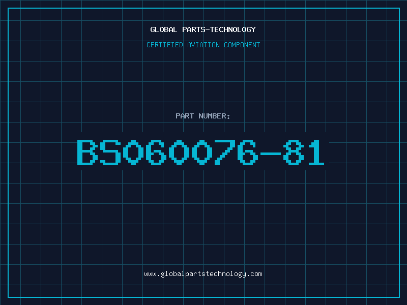 Aviation Part BS060076-81