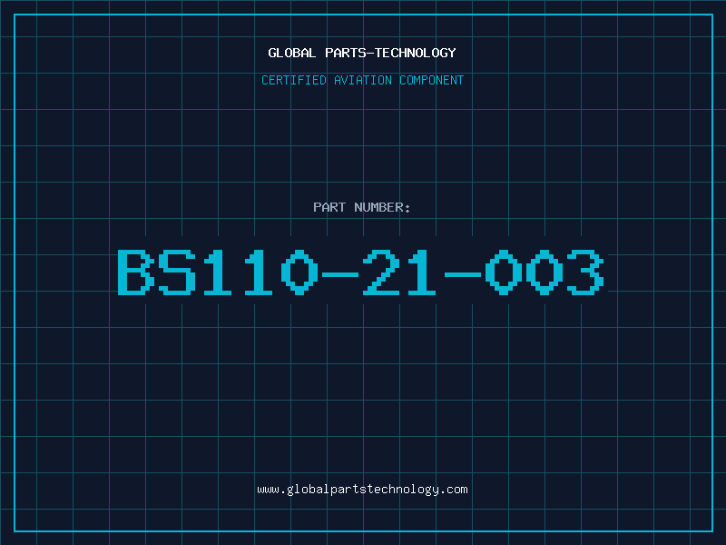 Aviation Part BS110-21-003