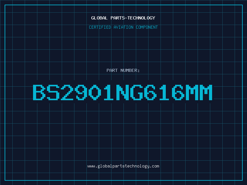 Aviation Part BS2901NG616MM