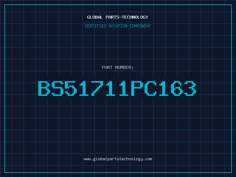 Aviation Part BS51711PC163