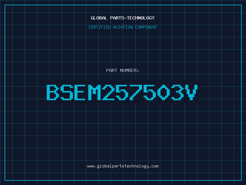 Aviation Part BSEM257503V