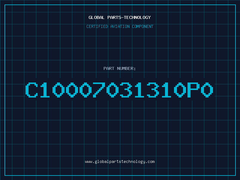 Aviation Part C10007031310P0