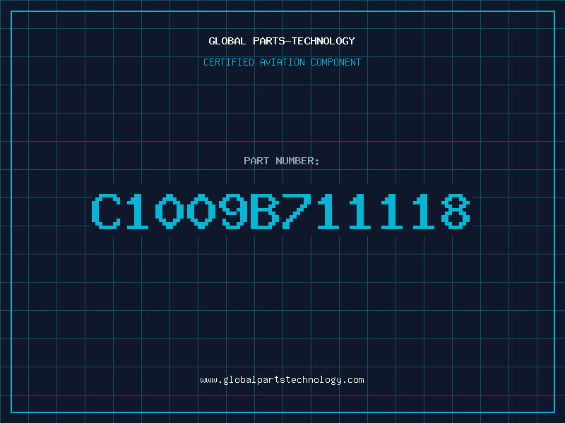 Aviation Part C1009B711118
