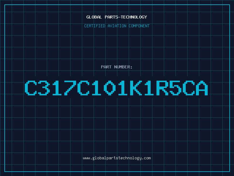 Aviation Part C317C101K1R5CA