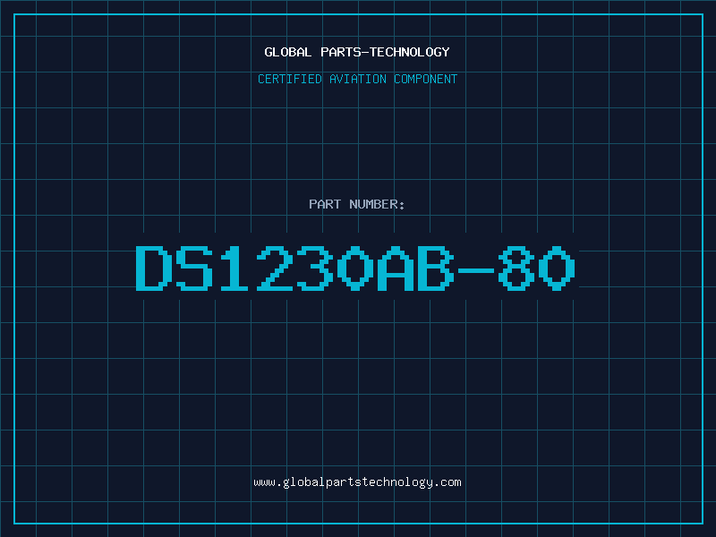 Aviation Part DS1230AB-80