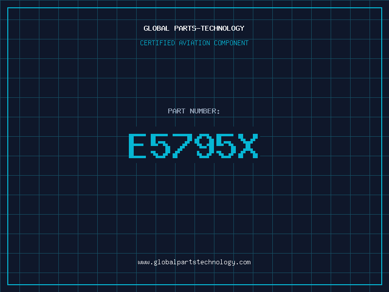 Aviation Part E5795X