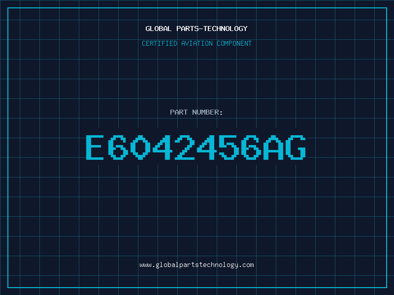 Aviation Part E6042456AG