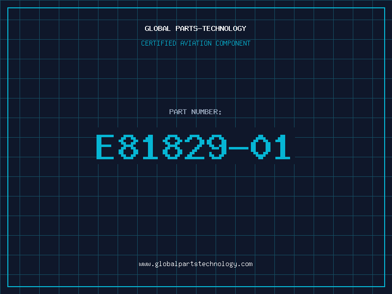 Aviation Part E81829-01