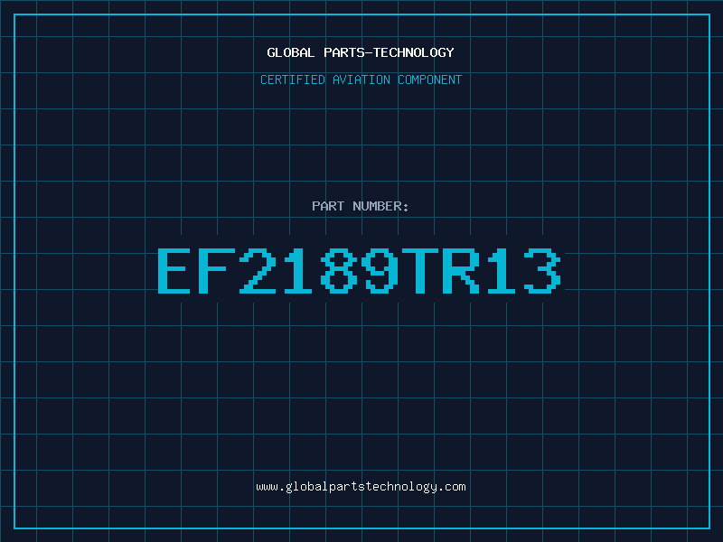 Aviation Part EF2189TR13