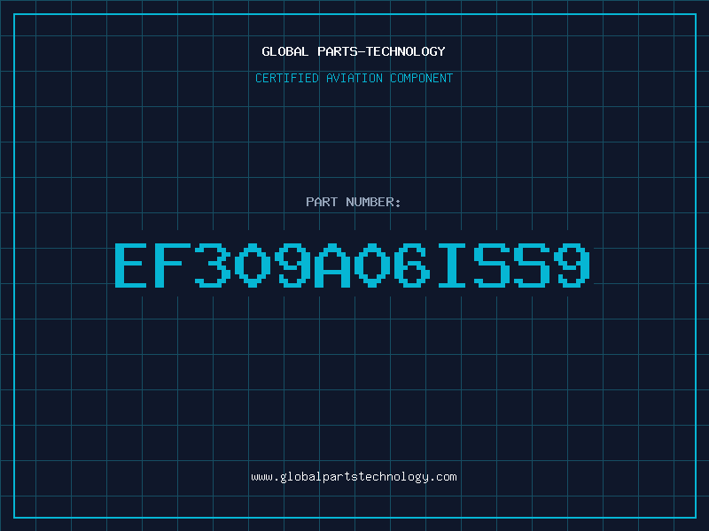 Aviation Part EF309A06ISS9