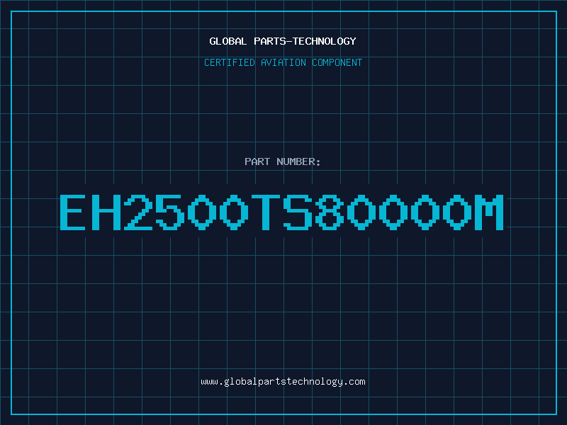 Aviation Part EH2500TS80000M
