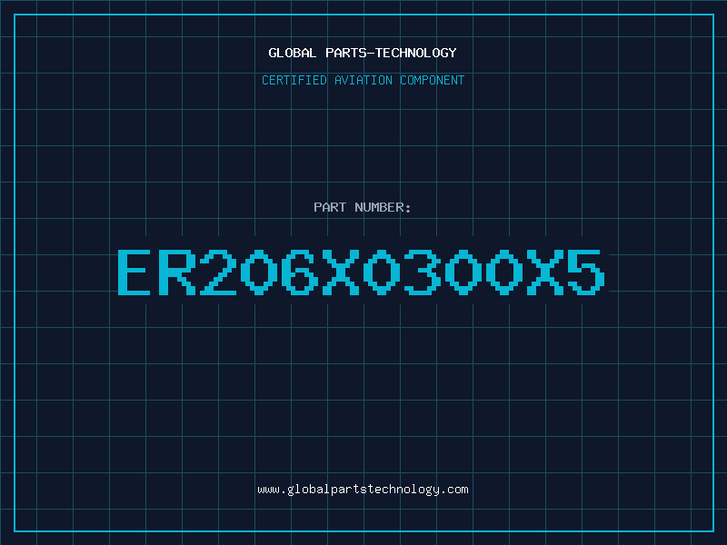 Aviation Part ER206X0300X5