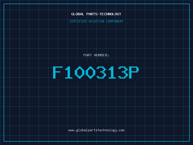 Aviation Part F100313P