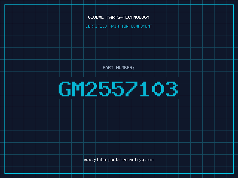 Aviation Part GM2557103