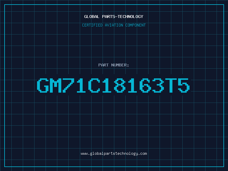 Aviation Part GM71C18163T5