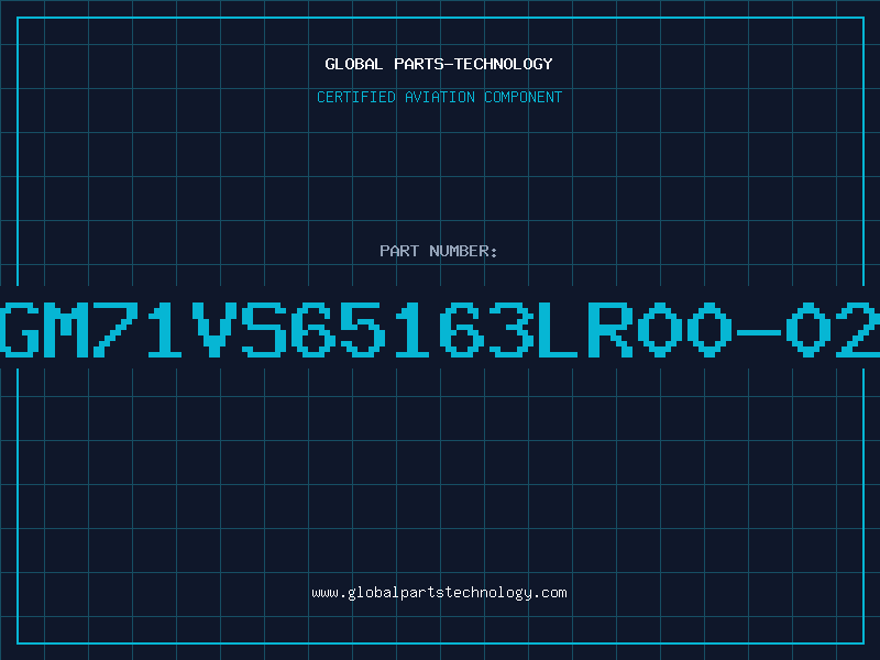 Aviation Part GM71VS65163LR00-02